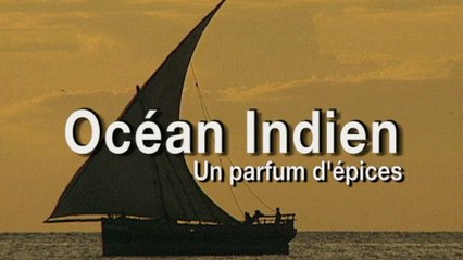 Ocean indien, un parfum d'épices