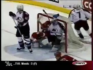 Dominik Hasek vs. Patrick Roy Fight