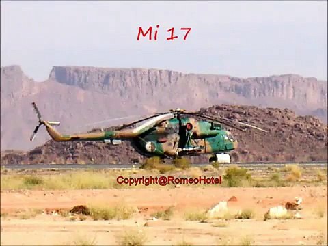 Armée Nationale Populaire D ' Algérie A N P - The ALgerian ArmY.flv