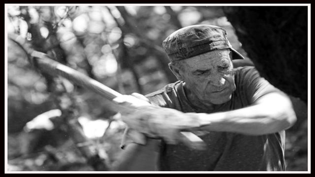 Alcornocales: tradiciones ancestrales y vanguardistas propuestas turísticas