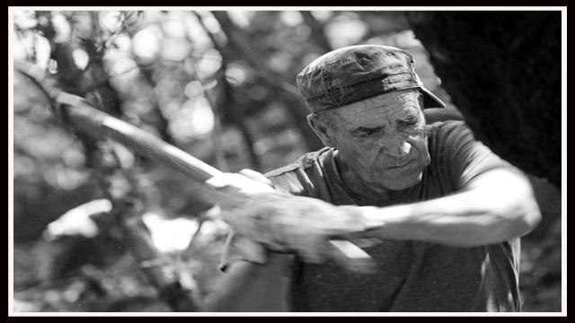 Alcornocales: tradiciones ancestrales y vanguardistas propuestas turísticas