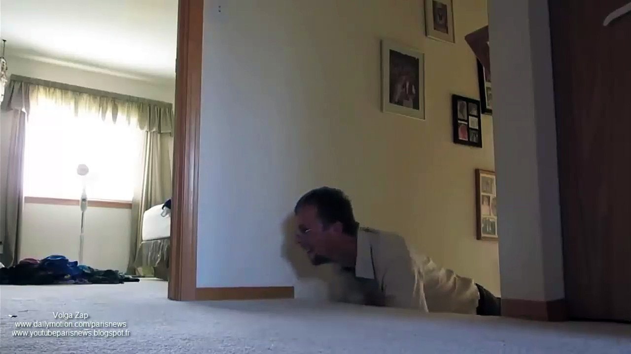 Il joue avec son chaton