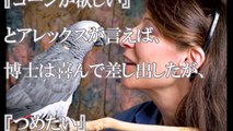 ヨウムとの最後の会話…5歳児の知性と2歳児の感情を持っていたというアレックスの最後の言葉