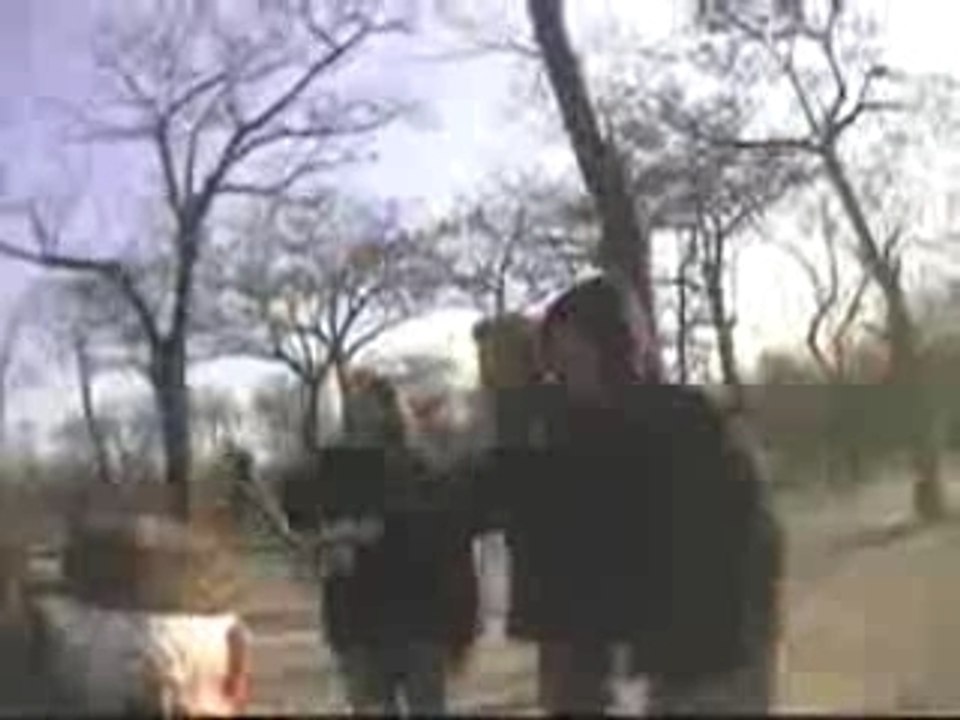 Action discrete - hooligan