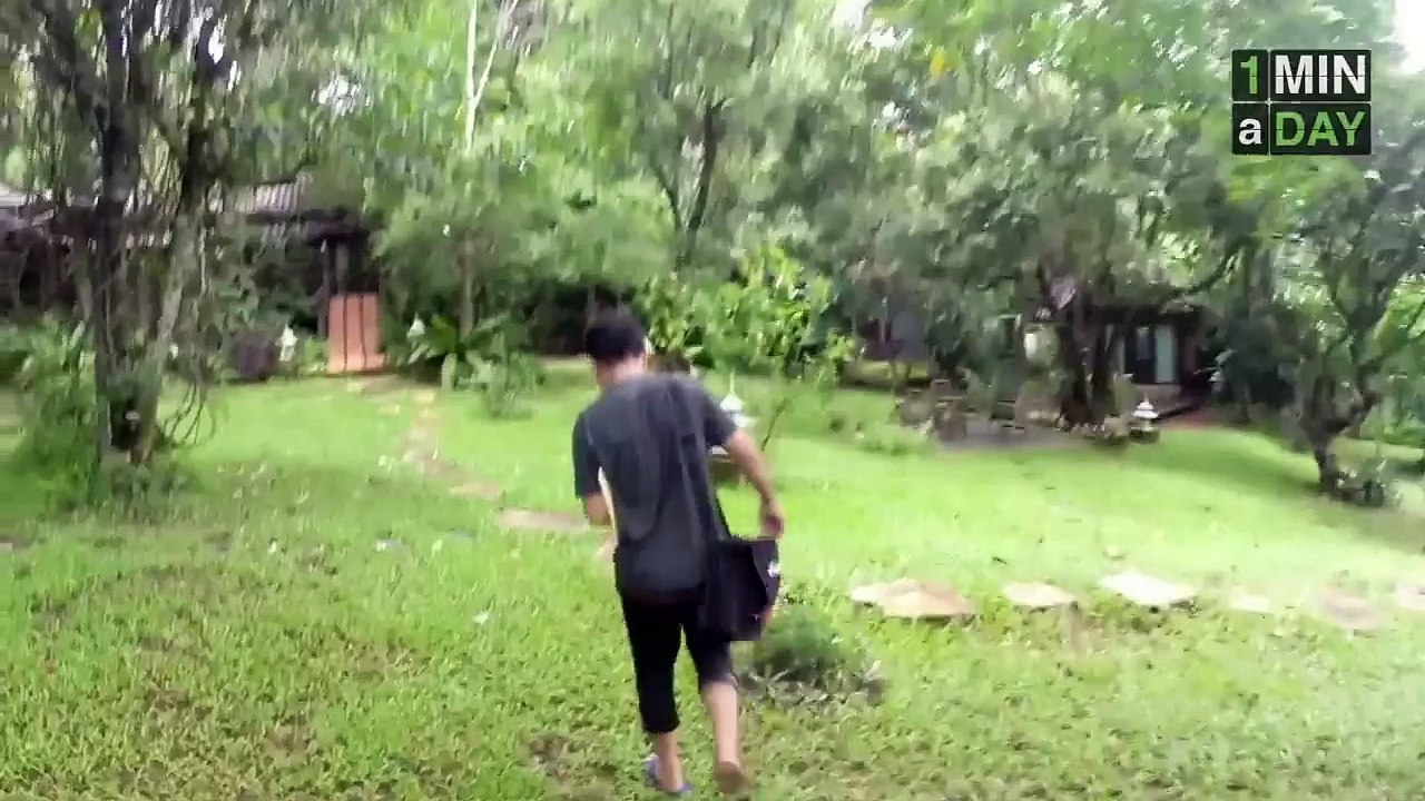 HandymanBananas Fruit Winter House!   1MINaDAY