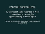 Eastern Screech Owl Calls - Audio Only