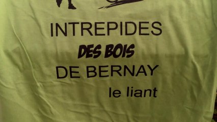Rando des bois de Bernay saint martin 2015
