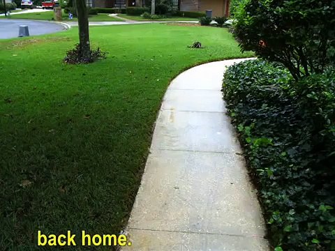 Walk Away Renee - The Left Banke