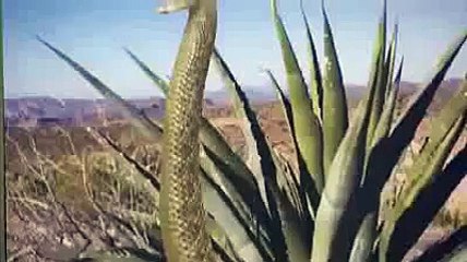 Funny Magic Prank - Funny Videos