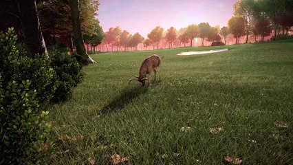 Rory McIlroy PGA Tour - Trailer de lancement