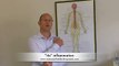 Shoulder Pain: Bursitis and Tendonitis Chiropractors Perth