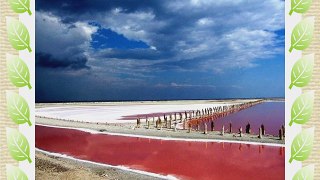 Unraffiniertes naturbelassenes mildes Meersalz von der Krim - SIVASH-rosa Badesalz 5 kg (10