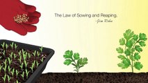 Law of Sowing and Reaping by Jim Rohn