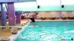 The Ultimate Diving Board Fails Compilation   Video Dailymotion funny!