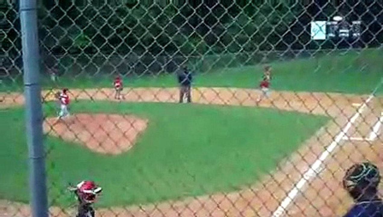 baseball fight