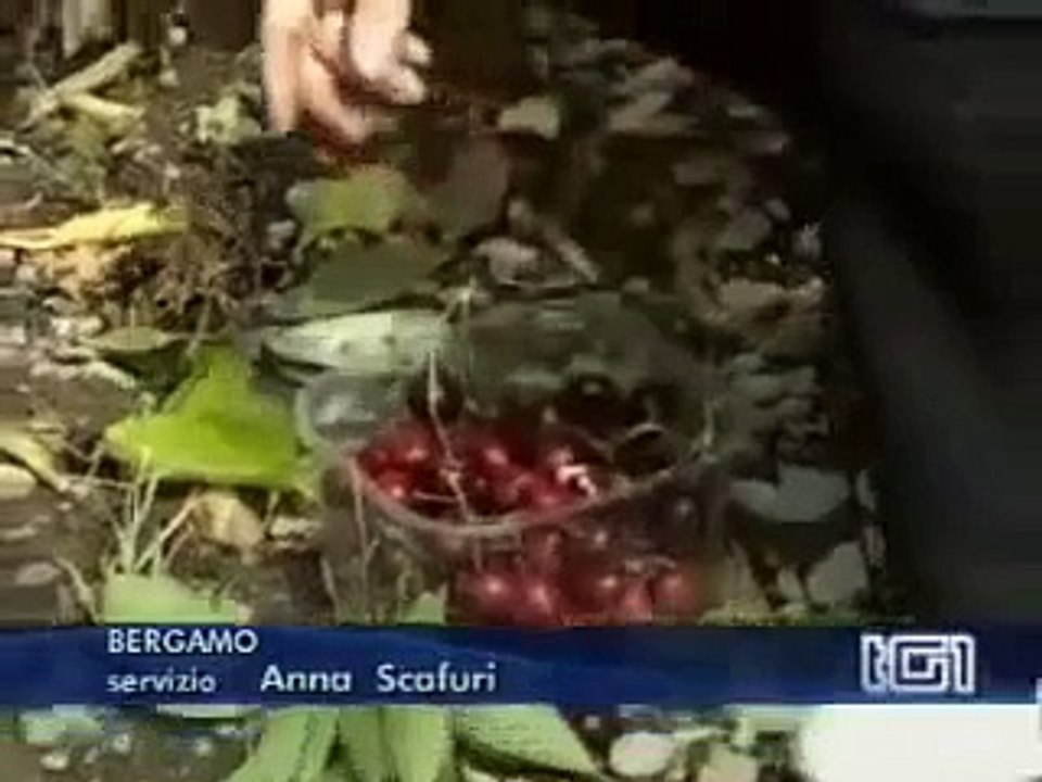 TG1 Economia del 2 giugno 2008