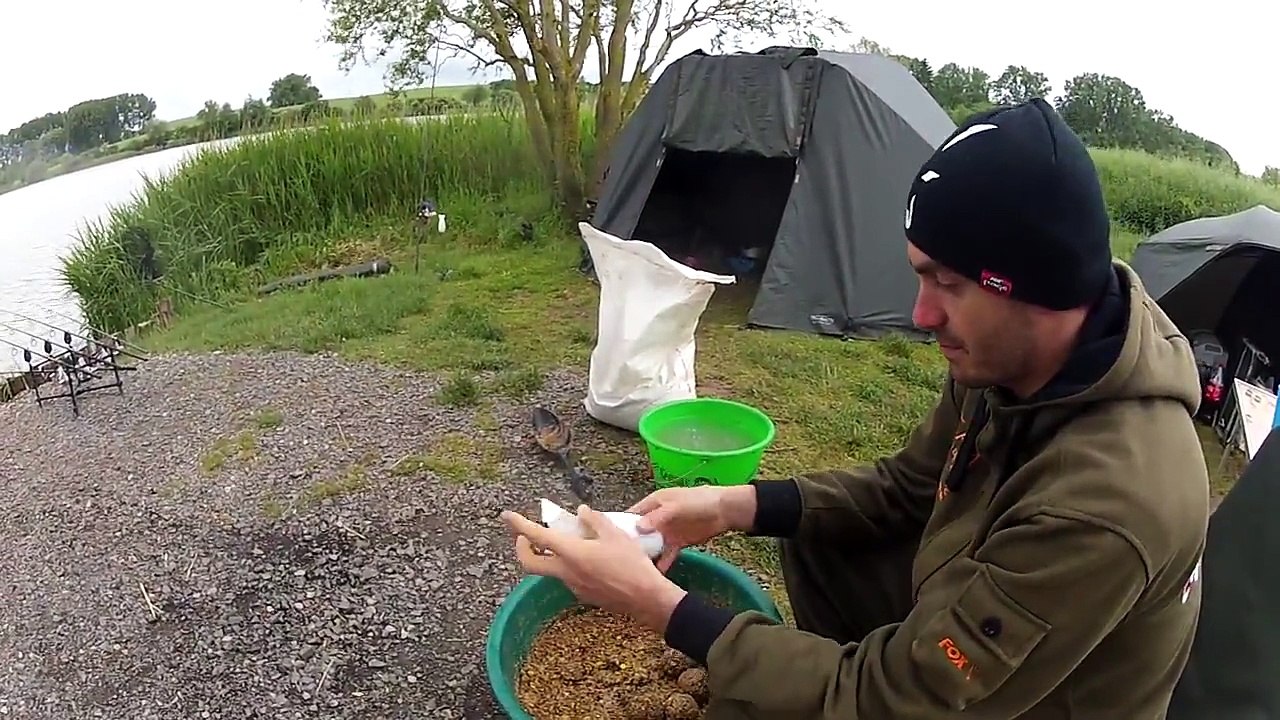 Etang du moulin à vergaville en lorraine :) pêche carpe , gardon , perche , brochet :)