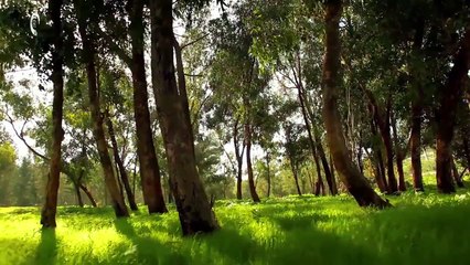 Ana Criado & Tenishia - Ever True (Official Music Video)