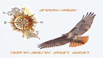 STRAY HAWK. North South East West