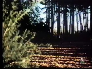 El poder de la sangre de Drácula - 1970 ( I )