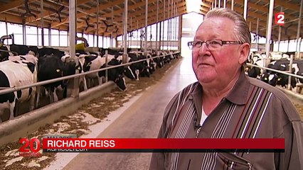 L'élevage allemand plus productif et compétitif qu'en France