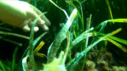 Vacances 2015 Puget sur Argens