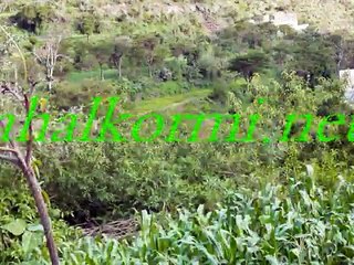 اغنيه للفنان ايوب طارش عبسي بالهجه التهاميه. رررررروعه