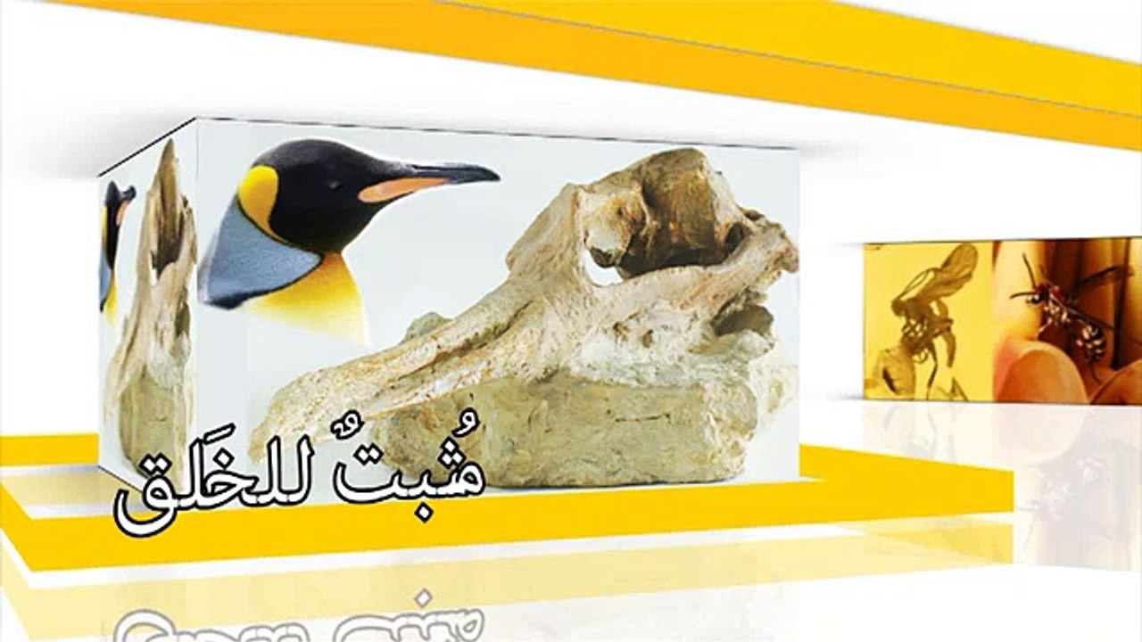 لسمكة طائرة