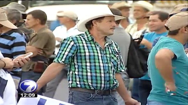 tn7-porcicultores-200715