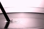 Liquid acrobatics: jets, droplets, bubbles, chaos