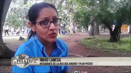 Expertos aseguran que gobierno no cumple programa de conservación del Oso Frontino