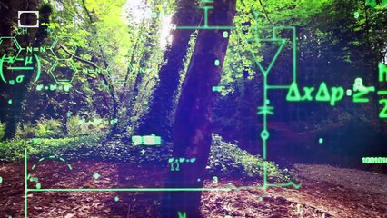 Expanding Our Perception - By Jason Silva