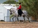 Répétition Masters Ibériques, reprise jeunes chevaux  : Novilla