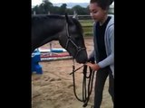 Tuto n°2: Comment apprendre la jambette et le pas espagnol a son cheval ? :)