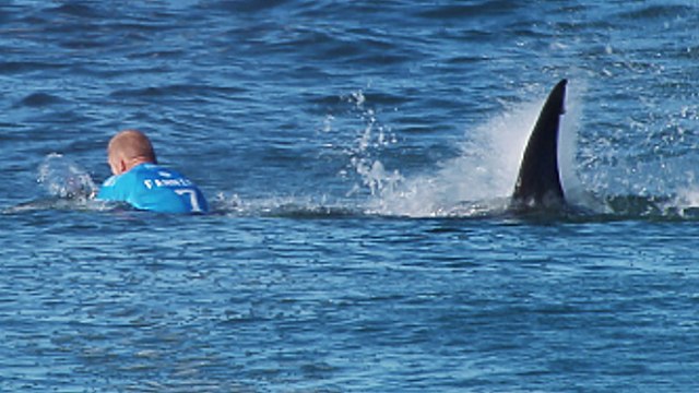 Pro Surfer Fights Off Shark On Live TV During Competition