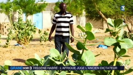 Procès hors-normes pour l'ex-dictateur tchadien Hissène Habré