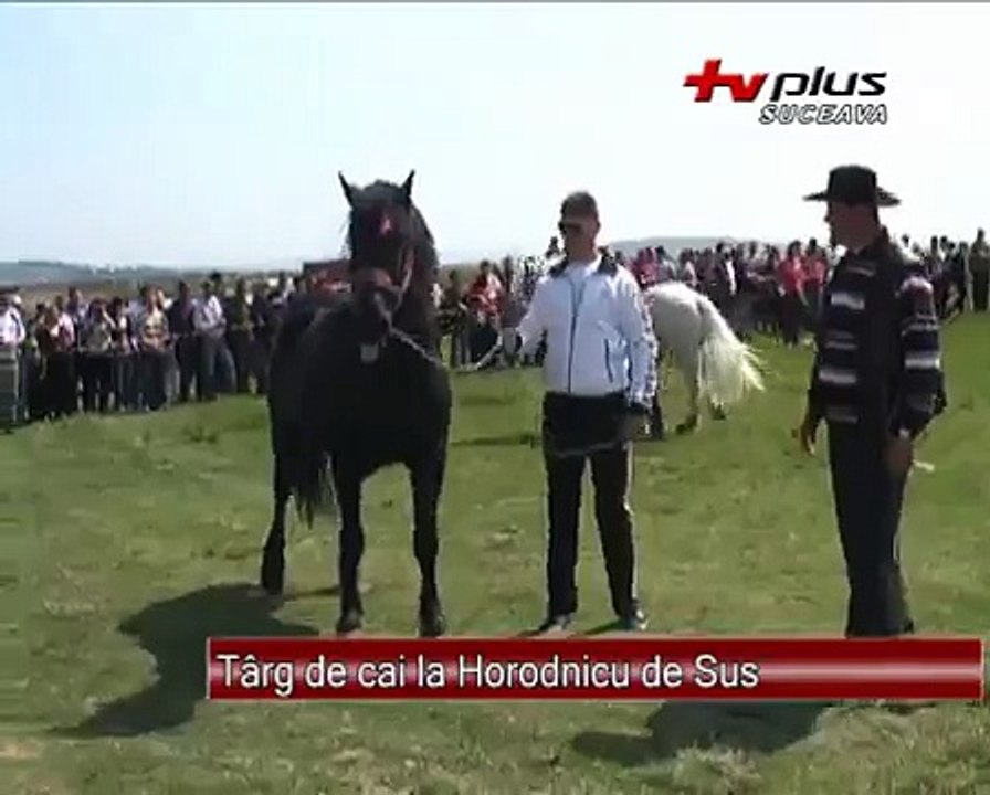 Targ de cai la Horodnicu de Sus