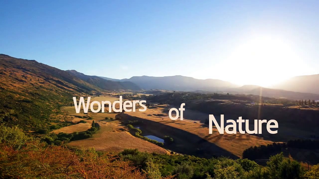 MARAVILHAS DA NATUREZA