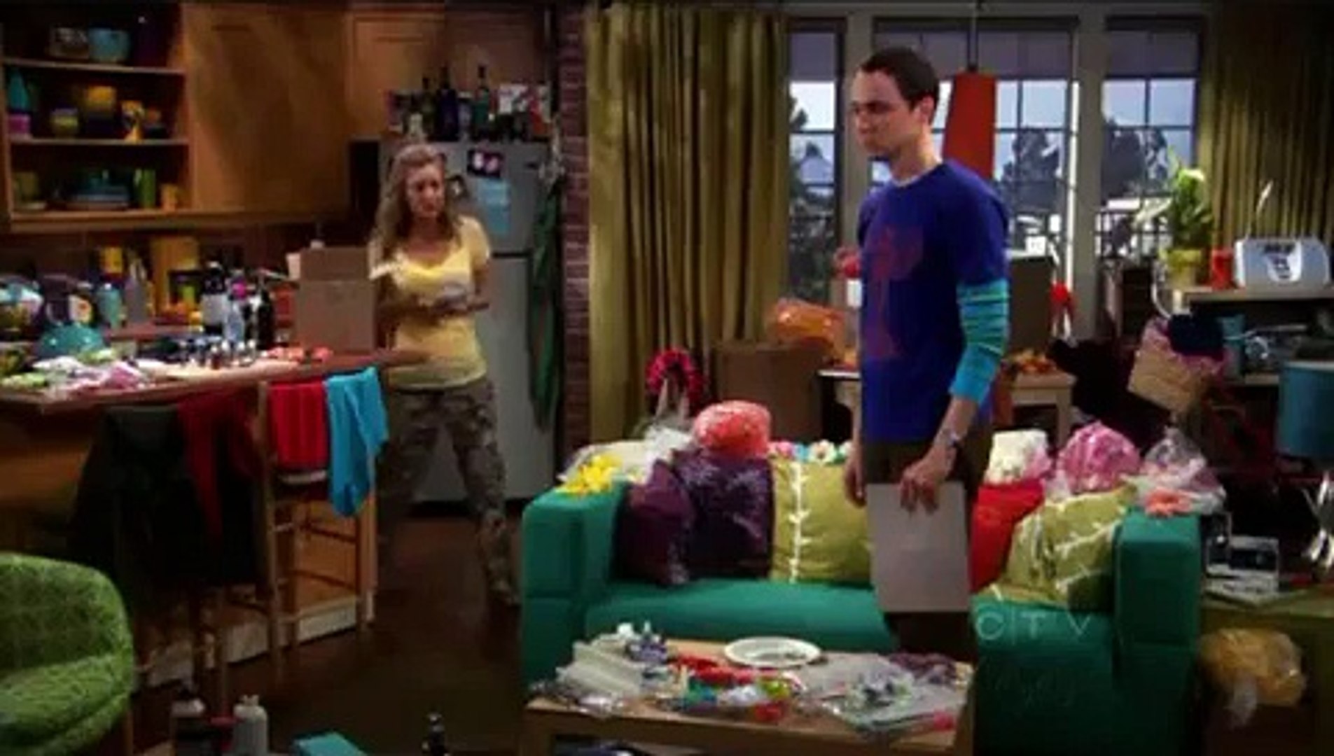 TBBT - Being a Physicist