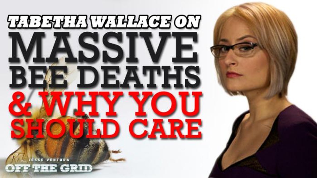 Tabetha Wallace and Jesse Ventura on Massive Bee Deaths and Why You Should Care