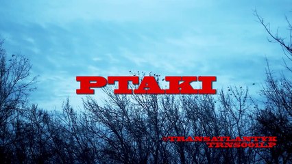 Ptaki - Już Tyle [PRZELOT _ TRNS001LP_CD]