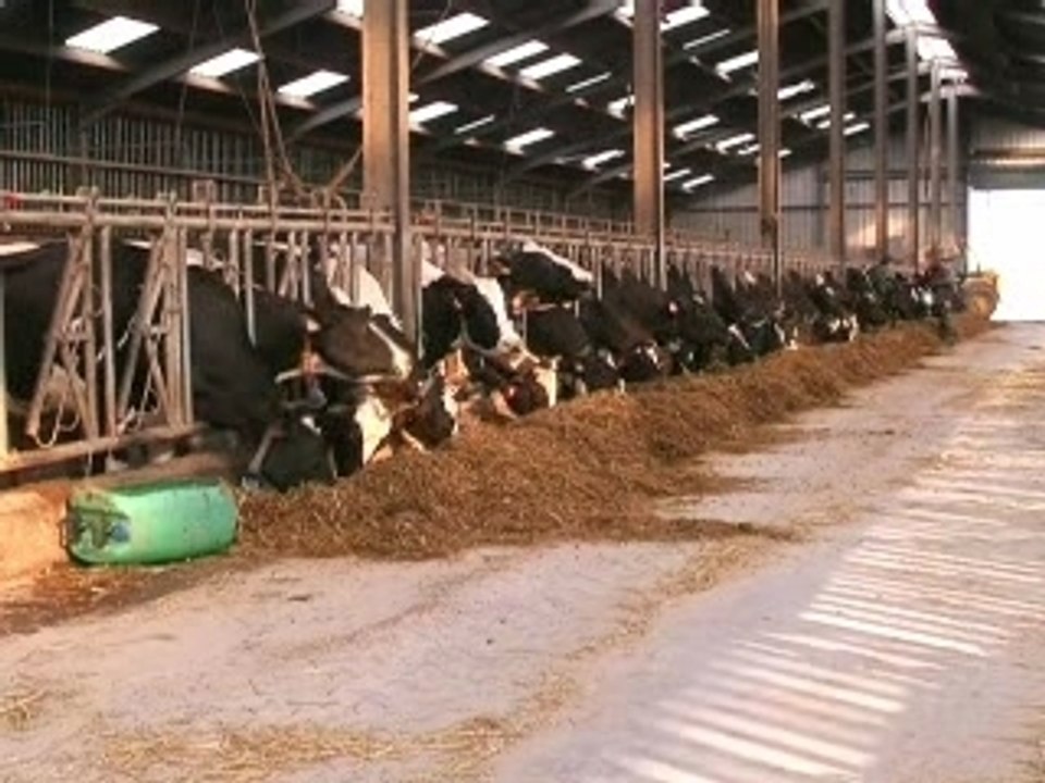 Microbioticum en application sur 61 VL (clip en entier)