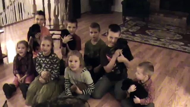 German Shepherd Puppies For Sale in Washington 2012