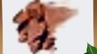 Guerlain Terracotta Poudre Bronzante 02 - Bronzing Puder 1er Pack (1 x 1 St?ck)