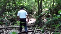 Chiapas Tour - Palenque y la Selva