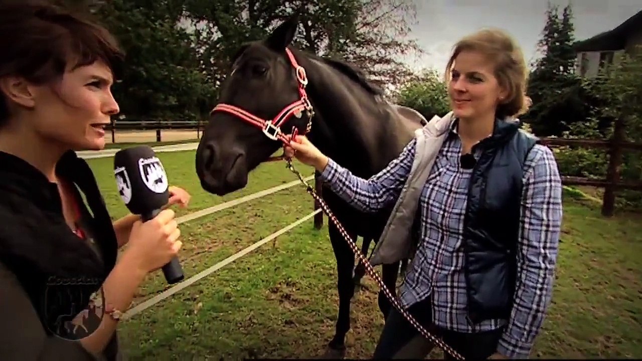 Basics mit Kati: Richtiger Umgang mit Pferden