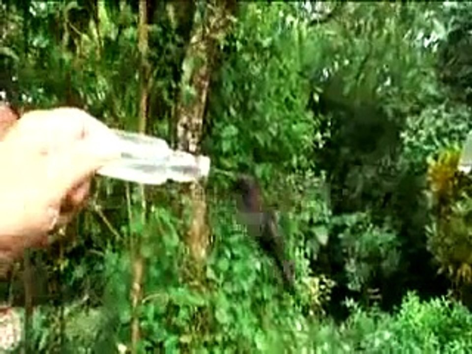 Six weeks - six Caribbean destinations