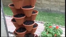 Stacking Pot Lettuce Vertical Garden
