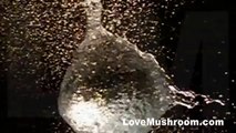 High Speed Camera : Water Balloon Explosions in Super Slow Motion (2008)