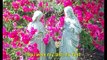 Ave Maria(beyonce version) - My dedication to the Mama Mary